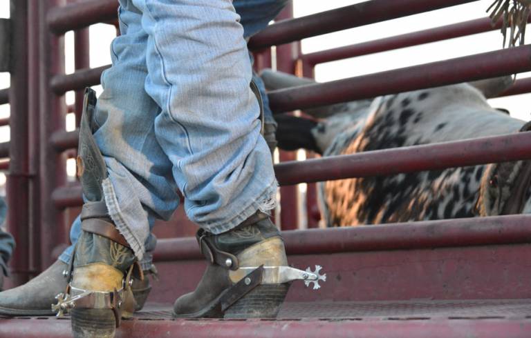 roulette chaussure cowboy