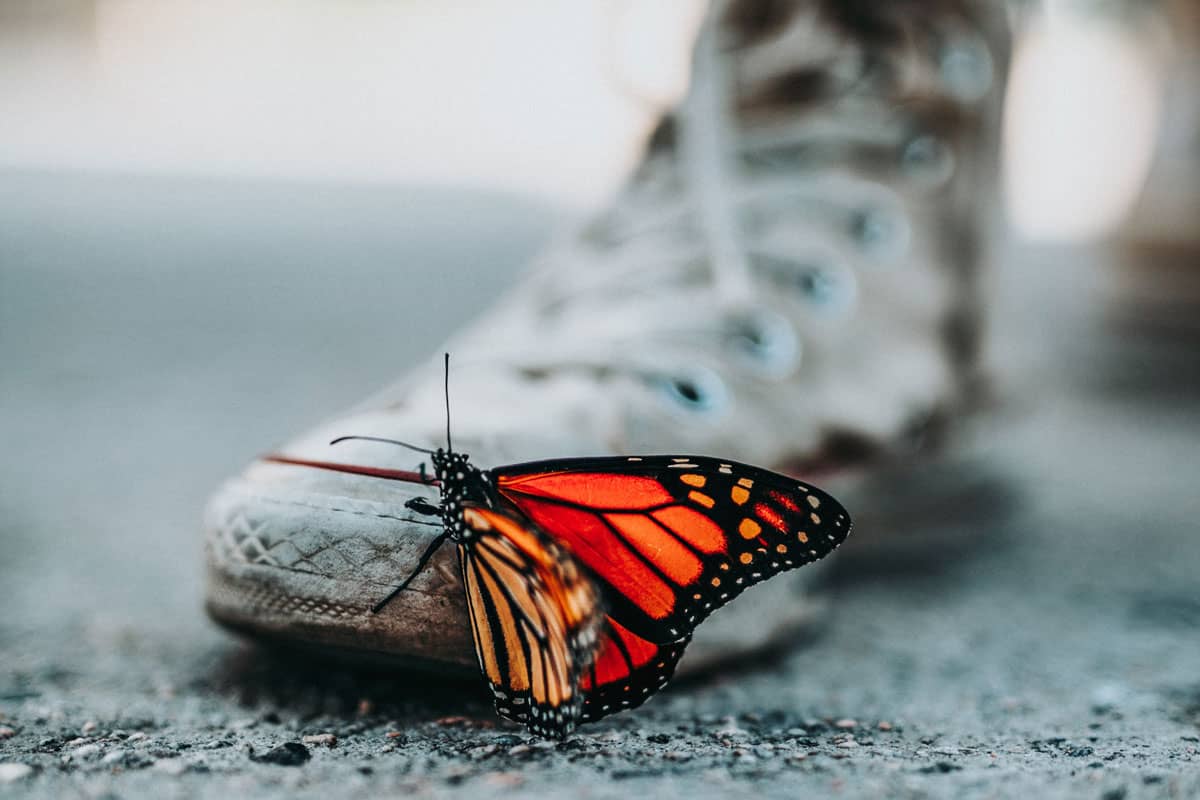 Les chaussures éthiques et écologiques