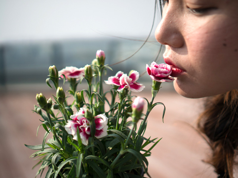 Masques pour le visage : les meilleurs ingrédients naturels